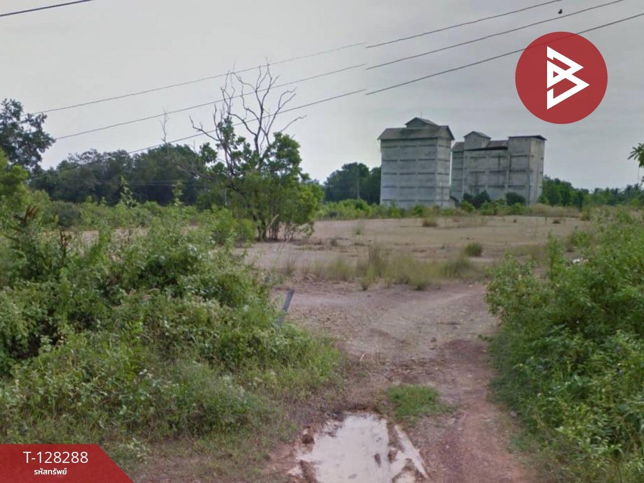 ขายที่ดิน เนื้อที่ 1 ไร่ วังกระแจะ ตราด 3