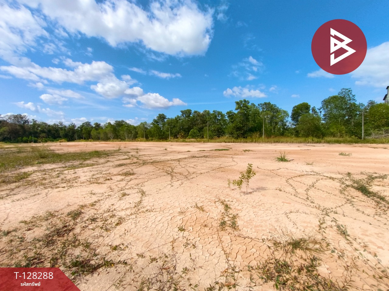 ขายที่ดิน เนื้อที่ 1 ไร่ วังกระแจะ ตราด 1