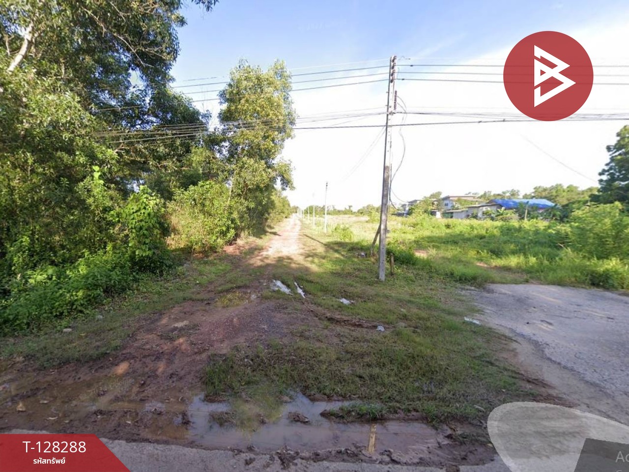 ขายที่ดิน เนื้อที่ 1 ไร่ วังกระแจะ ตราด 5