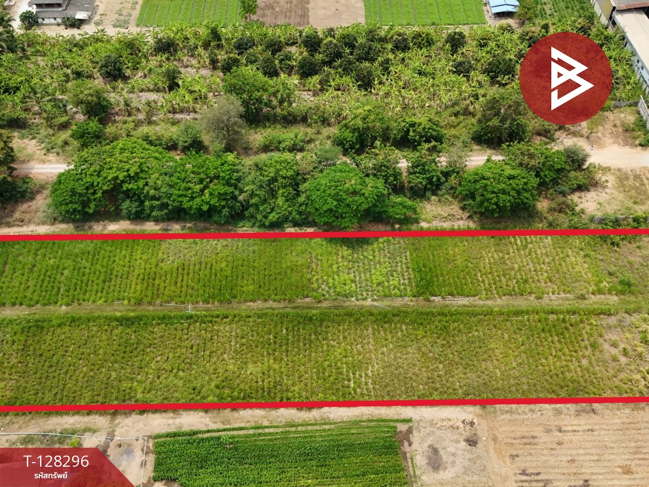 ขายที่ดิน เนื้อที่ 3 ไร่ 2 งาน 57 ตร.วา บ้านโป่ง ราชบุรี 4