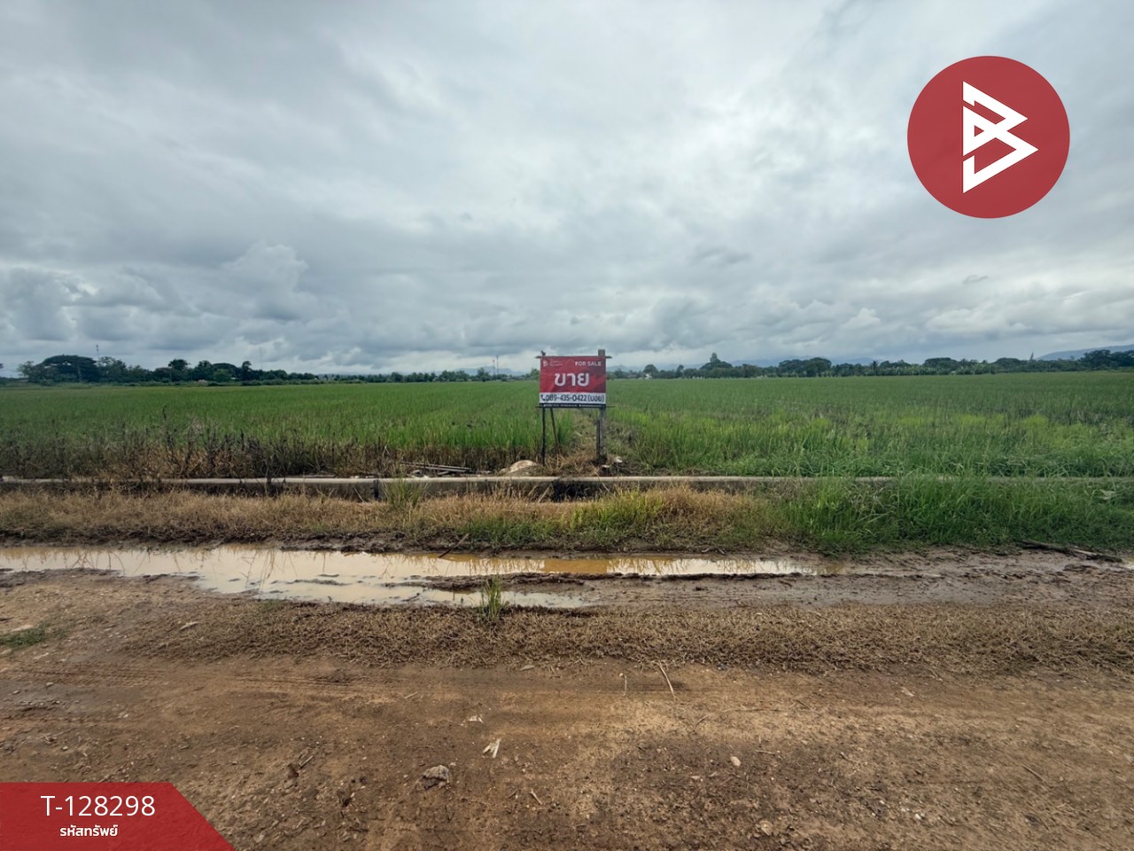 ขายที่ดิน เนื้อที่ 4 ไร่ 50.3 ตร.วา แม่แตง เชียงใหม่ 3