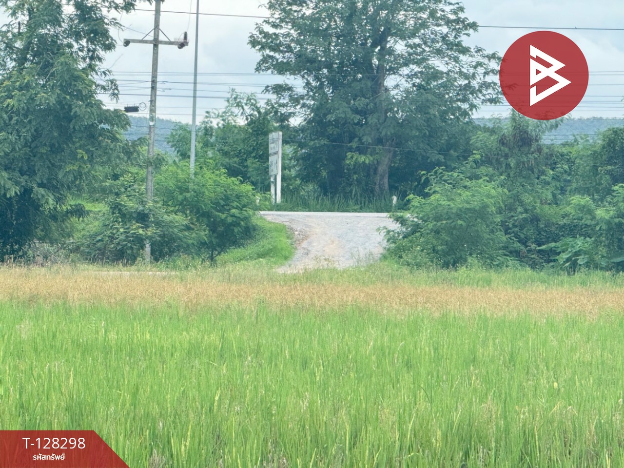 ขายที่ดิน เนื้อที่ 4 ไร่ 50.3 ตร.วา แม่แตง เชียงใหม่ 10