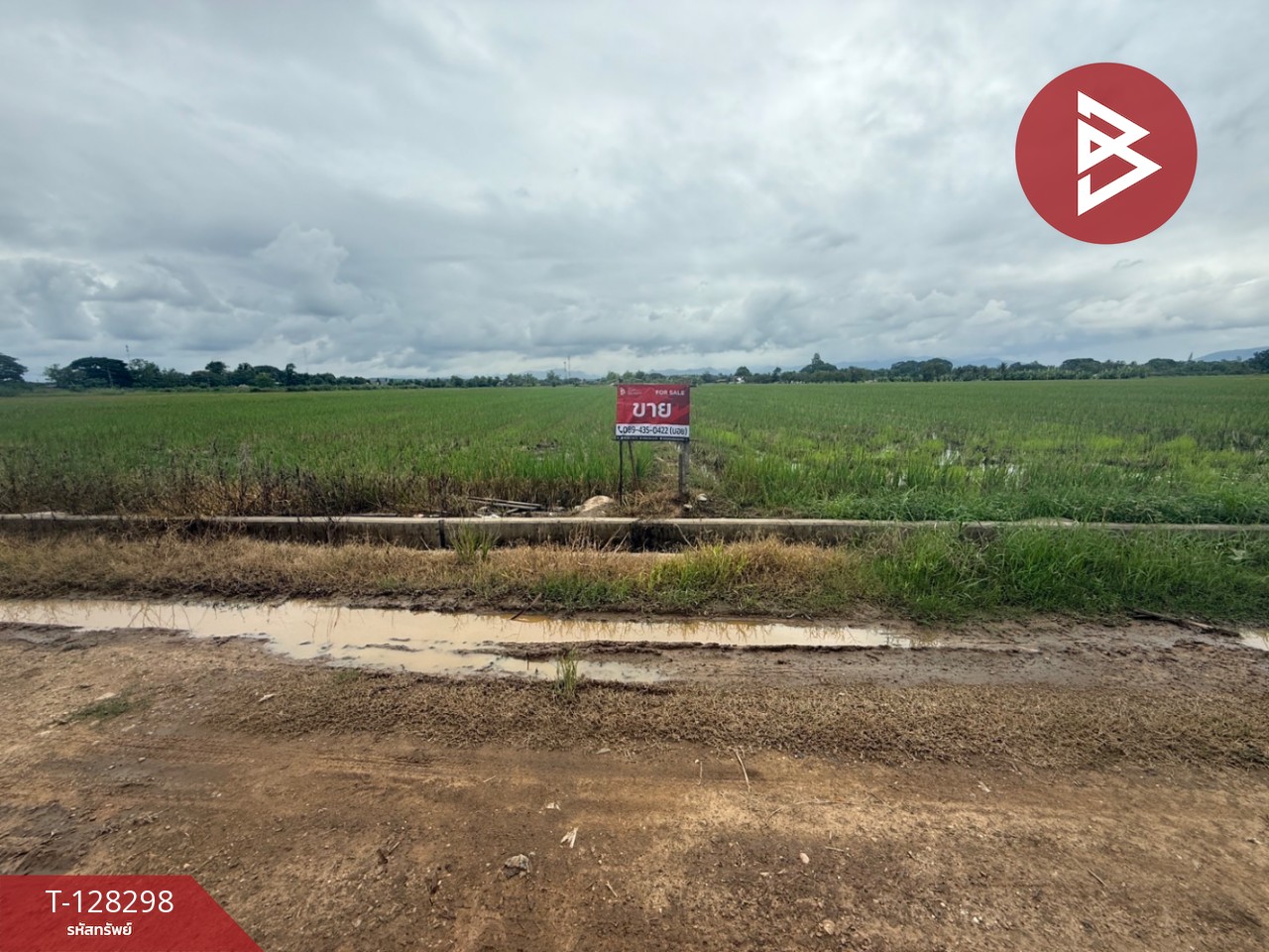 ขายที่ดิน เนื้อที่ 4 ไร่ 50.3 ตร.วา แม่แตง เชียงใหม่ 4