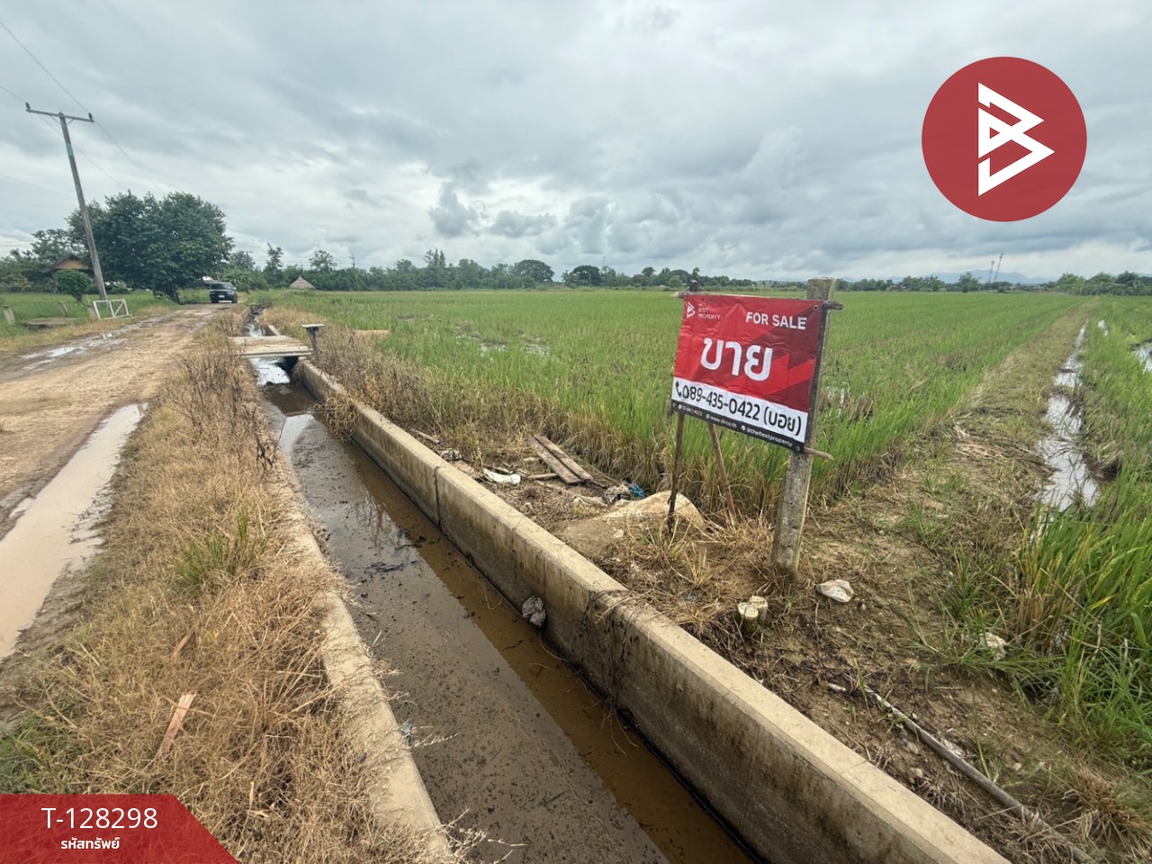 ขายที่ดิน เนื้อที่ 4 ไร่ 50.3 ตร.วา แม่แตง เชียงใหม่ 2