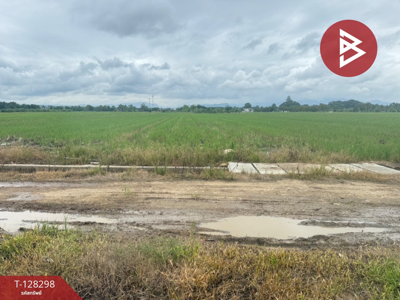 ขายที่ดิน เนื้อที่ 4 ไร่ 50.3 ตร.วา แม่แตง เชียงใหม่ 9