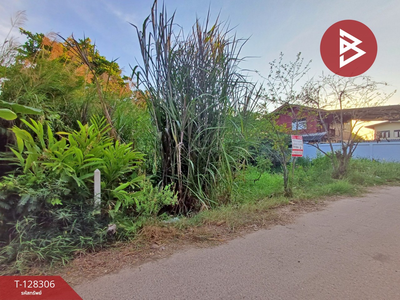 ขายที่ดิน เนื้อที่ 1 งาน 60 ตร.วา ดำเนินสะดวก ราชบุรี 8