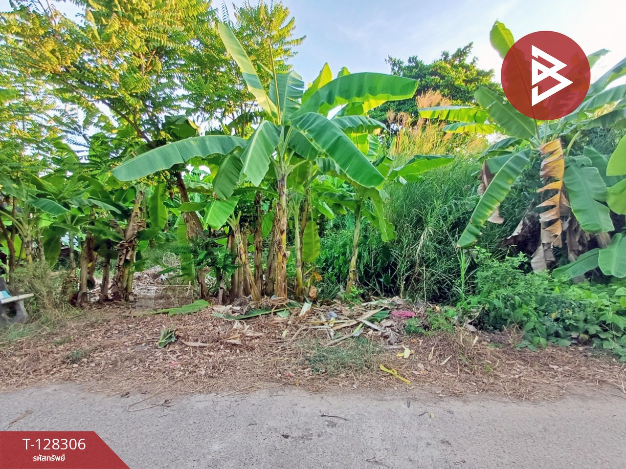 ขายที่ดิน เนื้อที่ 1 งาน 60 ตร.วา ดำเนินสะดวก ราชบุรี 1