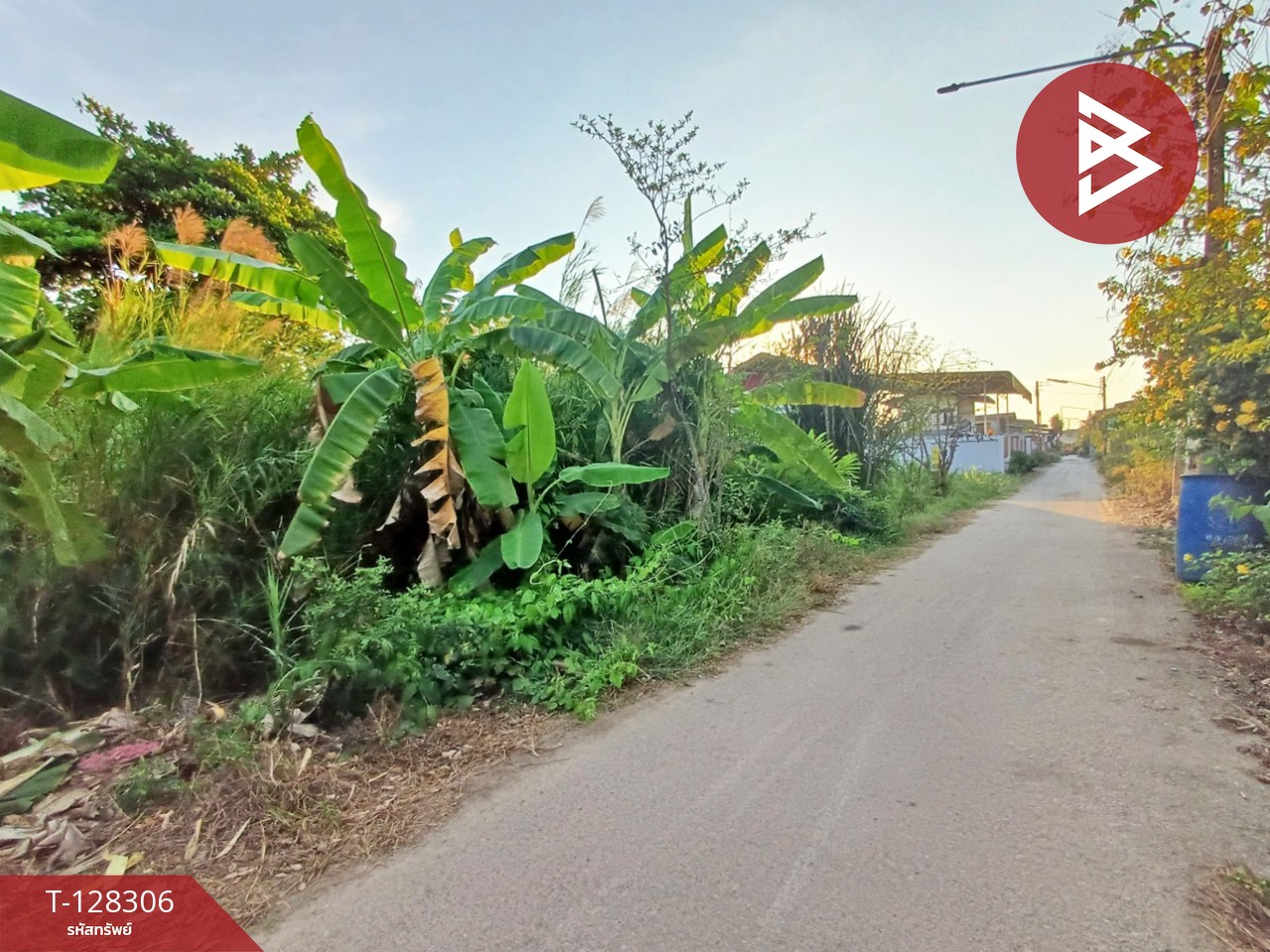 ขายที่ดิน เนื้อที่ 1 งาน 60 ตร.วา ดำเนินสะดวก ราชบุรี 2