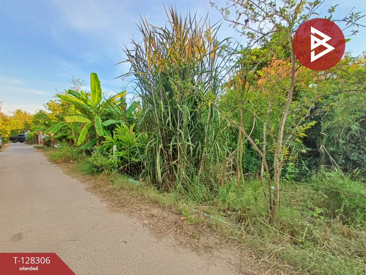 ขายที่ดิน เนื้อที่ 1 งาน 60 ตร.วา ดำเนินสะดวก ราชบุรี 9