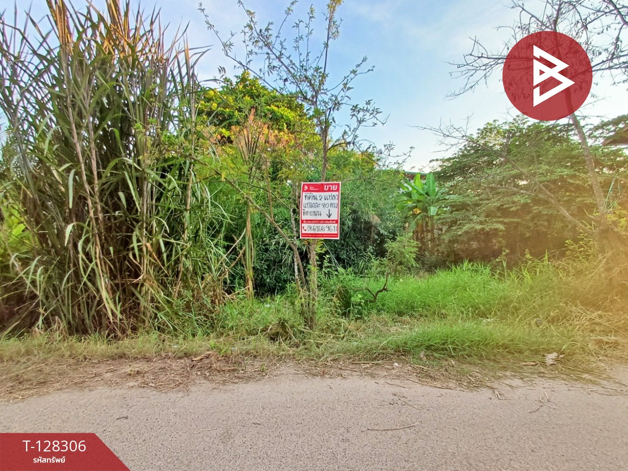 ขายที่ดิน เนื้อที่ 1 งาน 60 ตร.วา ดำเนินสะดวก ราชบุรี 11