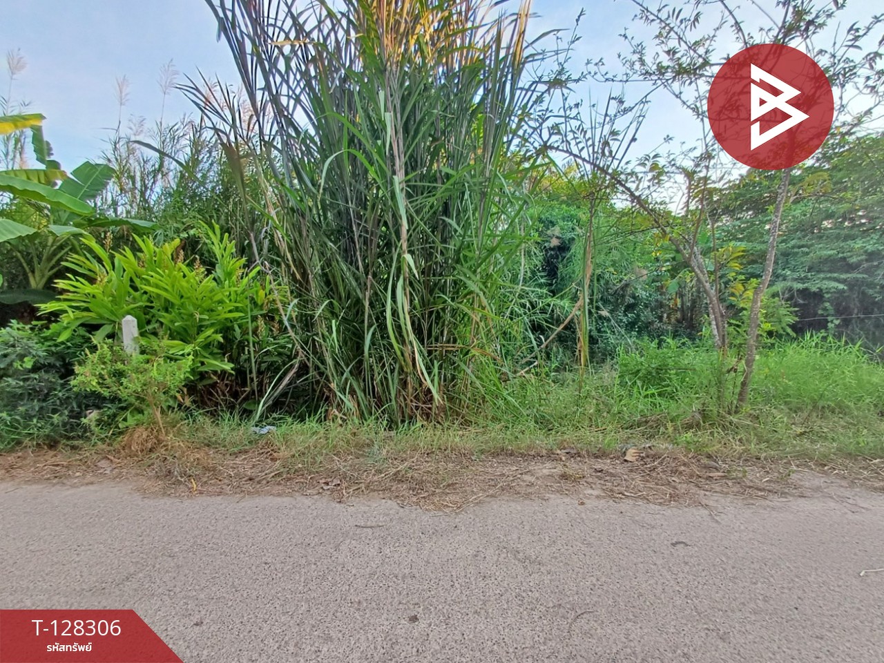 ขายที่ดิน เนื้อที่ 1 งาน 60 ตร.วา ดำเนินสะดวก ราชบุรี 12