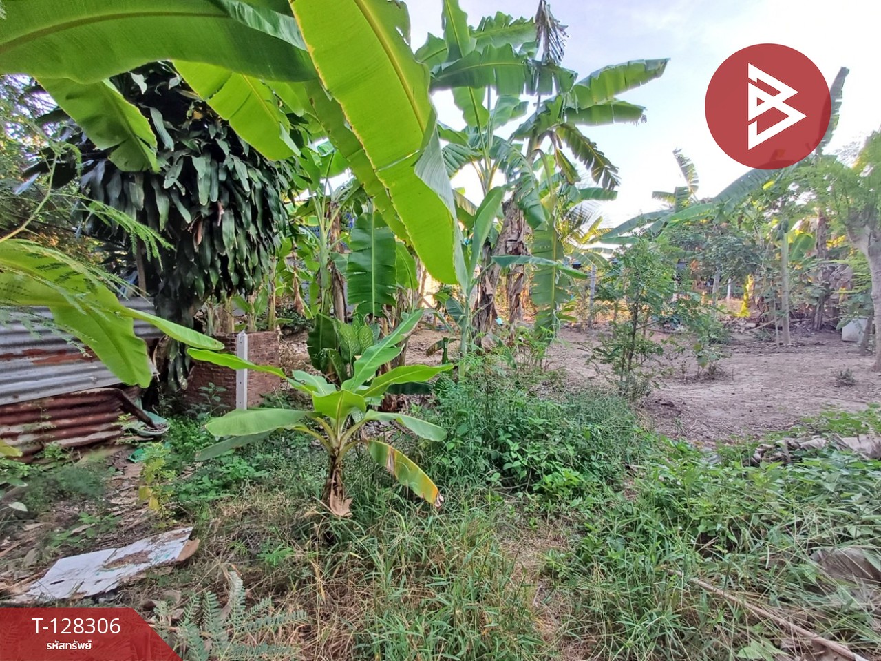 ขายที่ดิน เนื้อที่ 1 งาน 60 ตร.วา ดำเนินสะดวก ราชบุรี 10