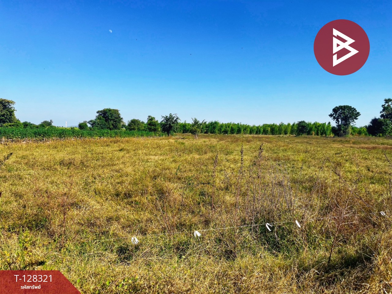 ขายที่ดินแปลงสวย เนื้อที่ 6 ไร่ 36.1 ตารางวา ห้วยกระเจา กาญจนบุรี ติดถนน ทำเลดี 11