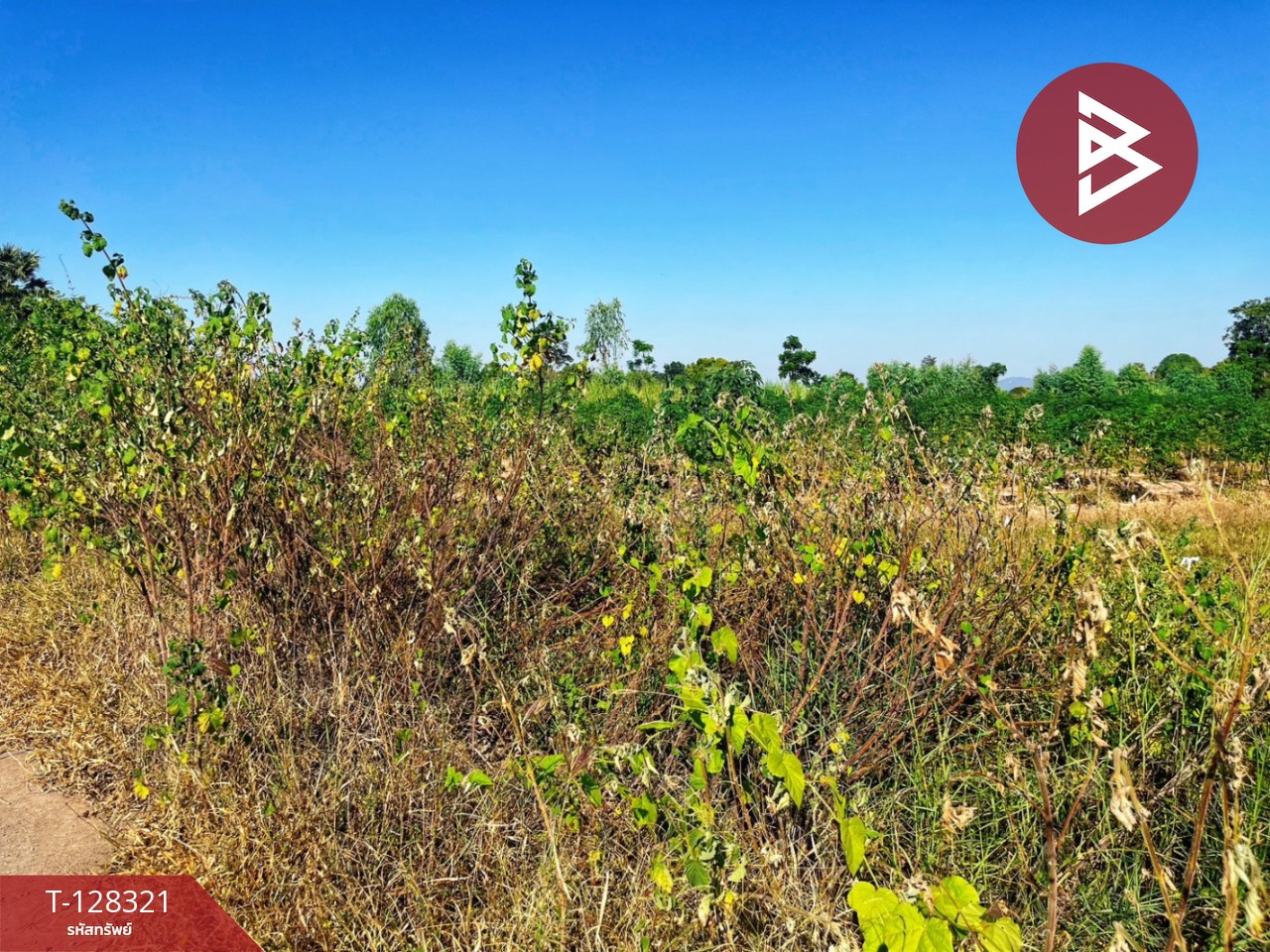 ขายที่ดินแปลงสวย เนื้อที่ 6 ไร่ 36.1 ตารางวา ห้วยกระเจา กาญจนบุรี ติดถนน ทำเลดี 9