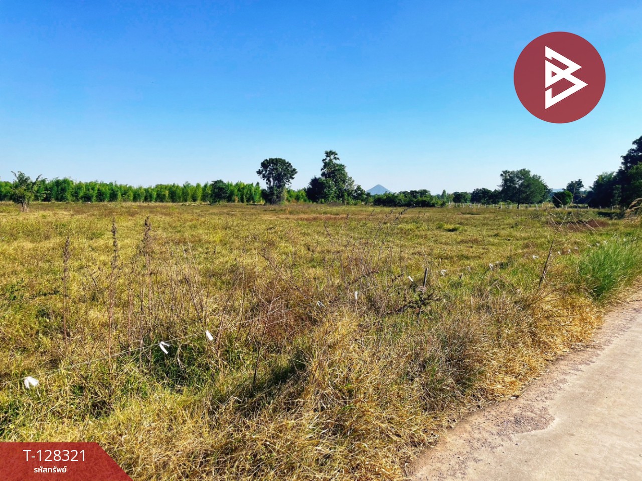 ขายที่ดินแปลงสวย เนื้อที่ 6 ไร่ 36.1 ตารางวา ห้วยกระเจา กาญจนบุรี ติดถนน ทำเลดี 12