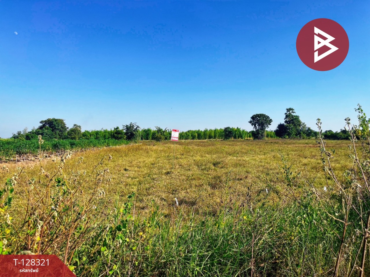 ขายที่ดินแปลงสวย เนื้อที่ 6 ไร่ 36.1 ตารางวา ห้วยกระเจา กาญจนบุรี ติดถนน ทำเลดี 7