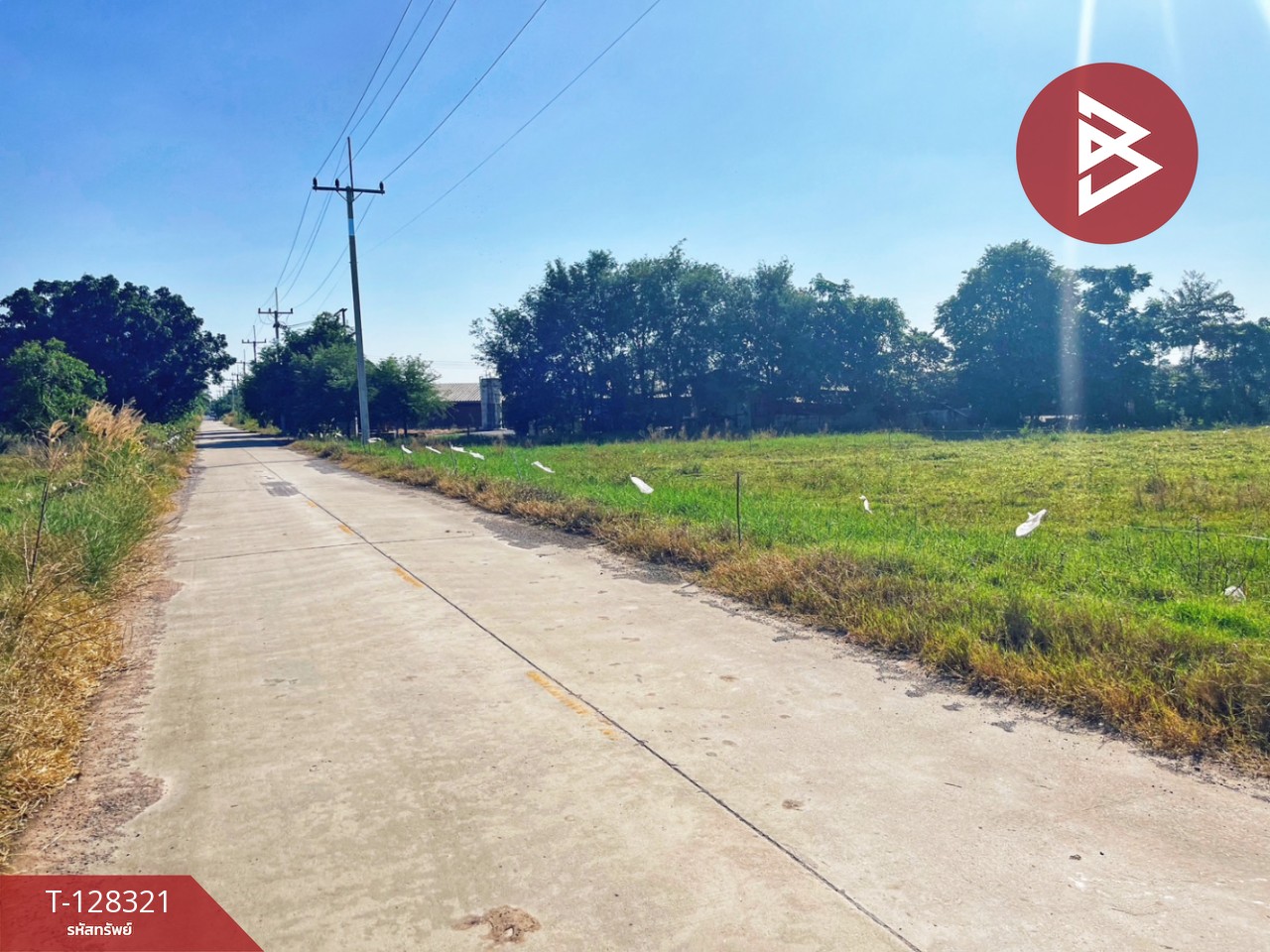 ขายที่ดินแปลงสวย เนื้อที่ 6 ไร่ 36.1 ตารางวา ห้วยกระเจา กาญจนบุรี ติดถนน ทำเลดี 13