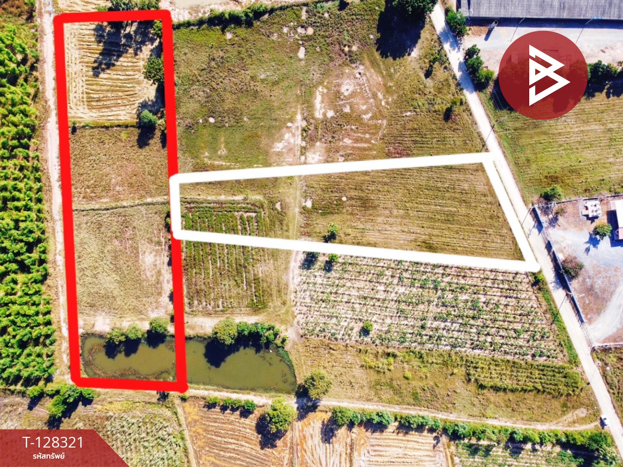 ขายที่ดินแปลงสวย เนื้อที่ 6 ไร่ 36.1 ตารางวา ห้วยกระเจา กาญจนบุรี ติดถนน ทำเลดี 1