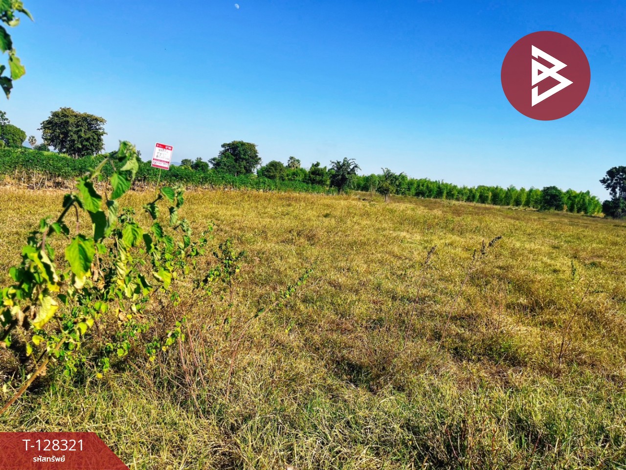 ขายที่ดินแปลงสวย เนื้อที่ 6 ไร่ 36.1 ตารางวา ห้วยกระเจา กาญจนบุรี ติดถนน ทำเลดี 5