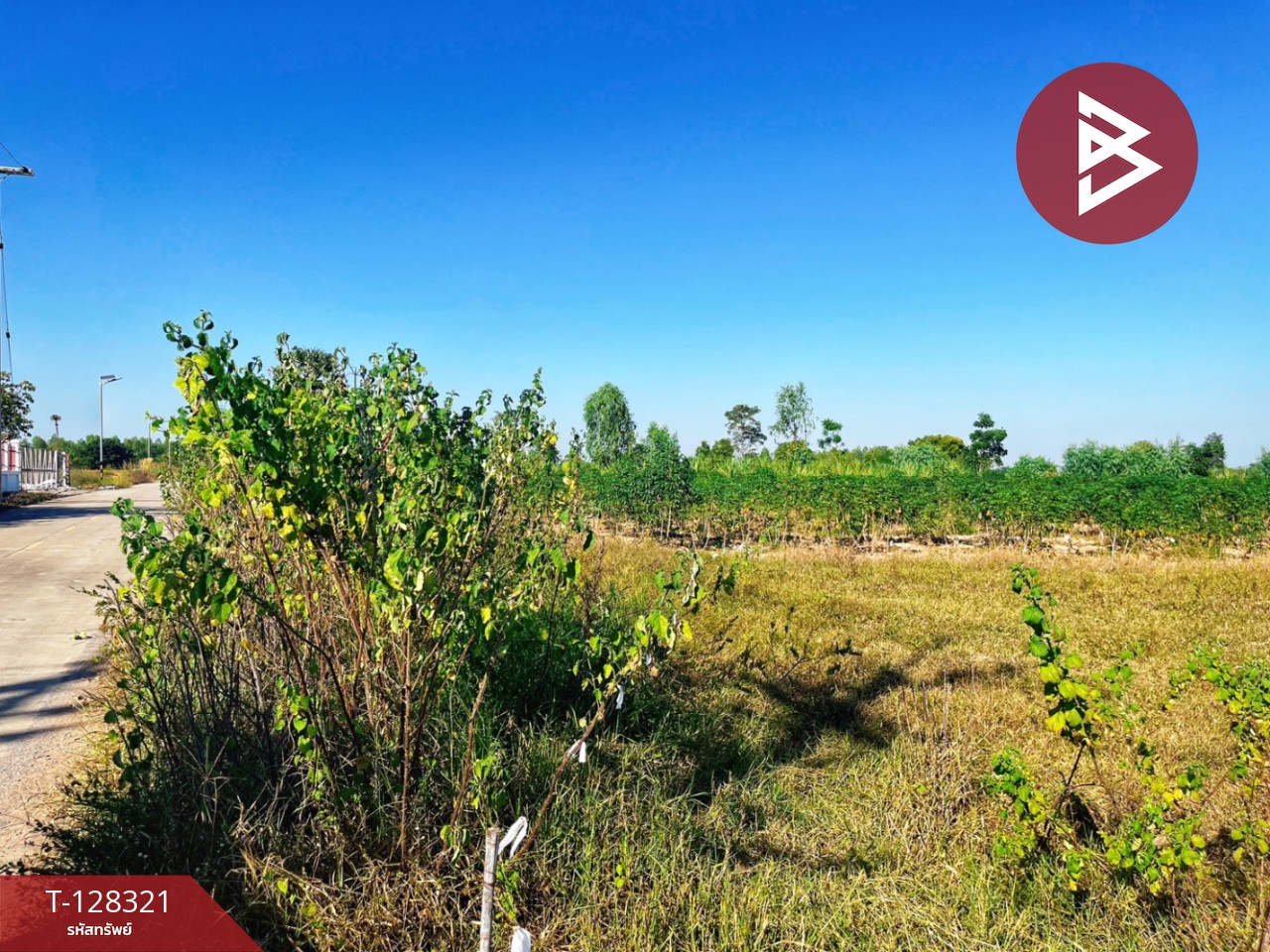 ขายที่ดินแปลงสวย เนื้อที่ 6 ไร่ 36.1 ตารางวา ห้วยกระเจา กาญจนบุรี ติดถนน ทำเลดี 10