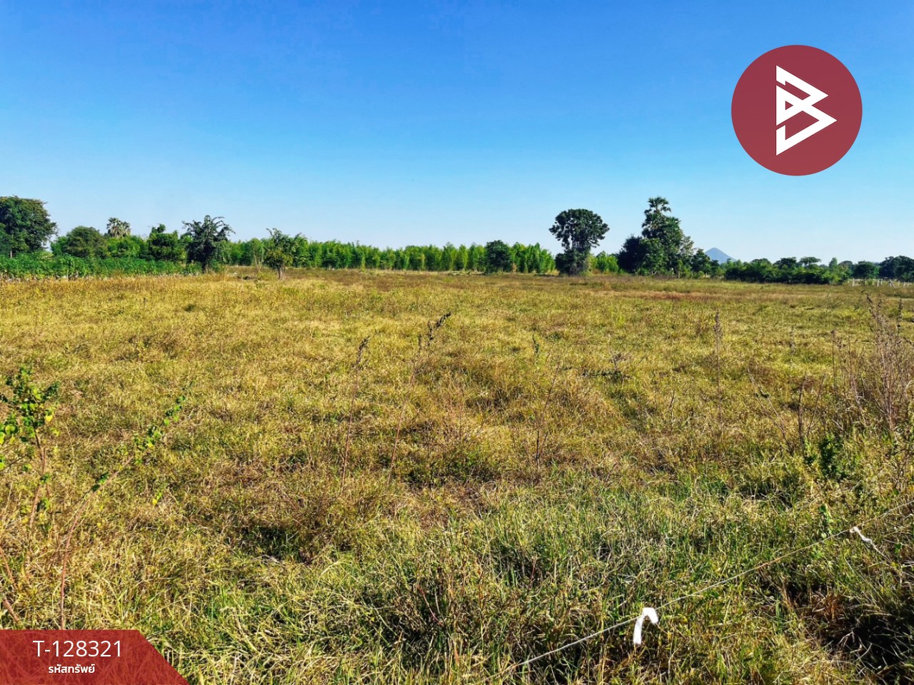 ขายที่ดินแปลงสวย เนื้อที่ 6 ไร่ 36.1 ตารางวา ห้วยกระเจา กาญจนบุรี ติดถนน ทำเลดี 4