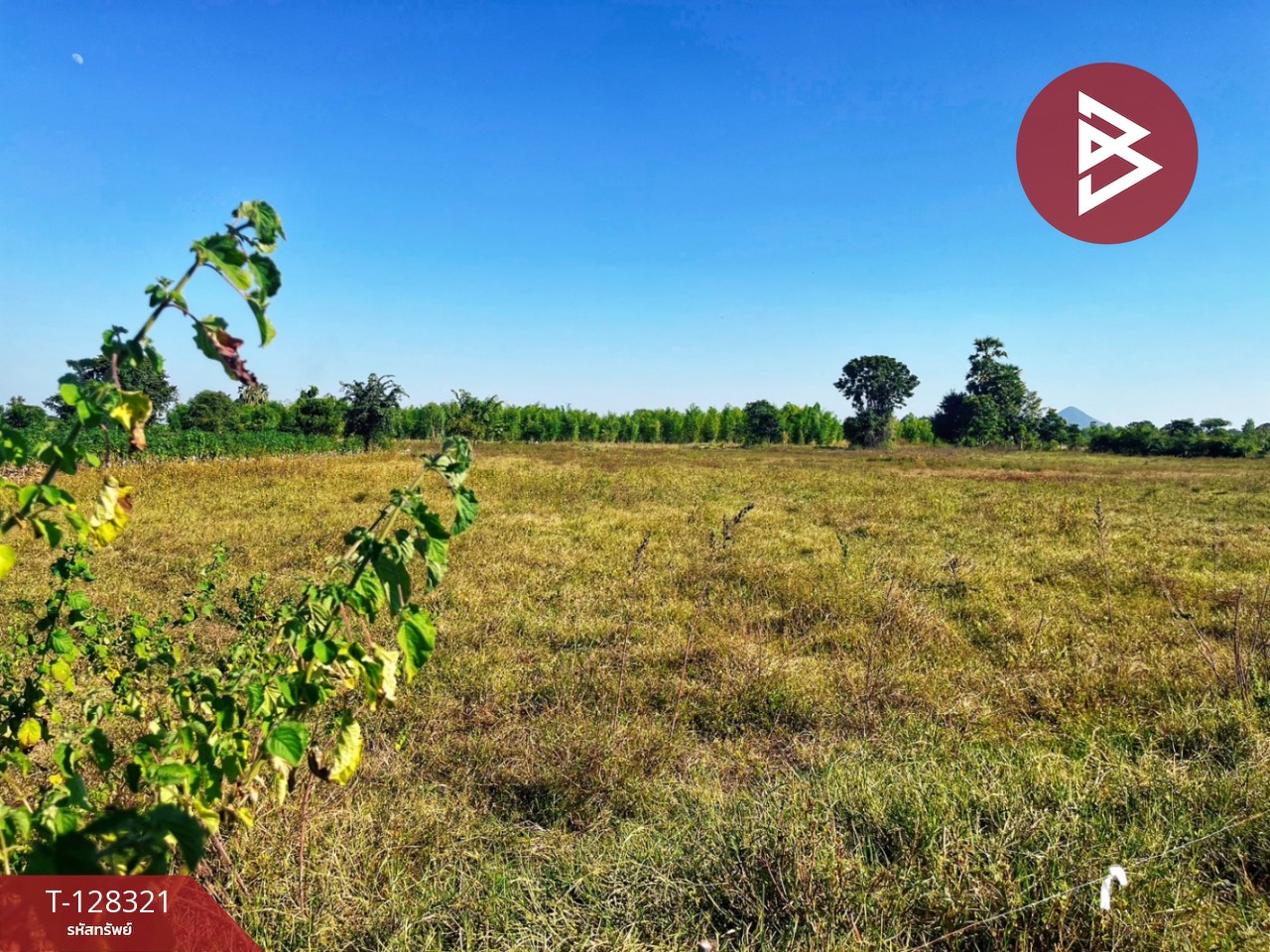 ขายที่ดินแปลงสวย เนื้อที่ 6 ไร่ 36.1 ตารางวา ห้วยกระเจา กาญจนบุรี ติดถนน ทำเลดี 6