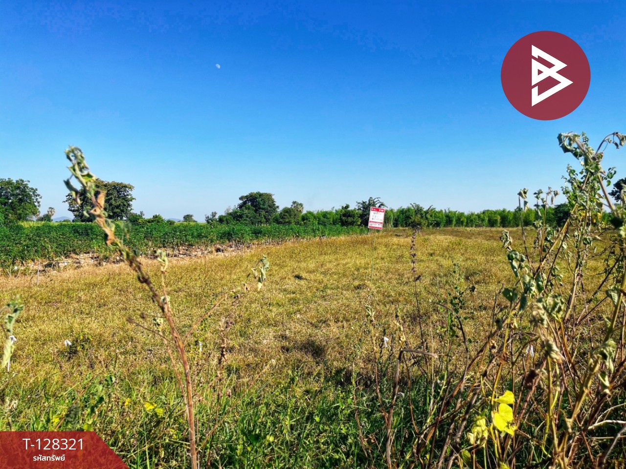 ขายที่ดินแปลงสวย เนื้อที่ 6 ไร่ 36.1 ตารางวา ห้วยกระเจา กาญจนบุรี ติดถนน ทำเลดี 8