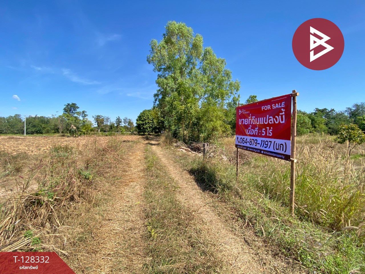 ขายที่ดินแปลงสวย เนื้อที่ 5 ไร่ ที่ดินโนนแต้ ต.สำราญ เมืองขอนแก่น 3