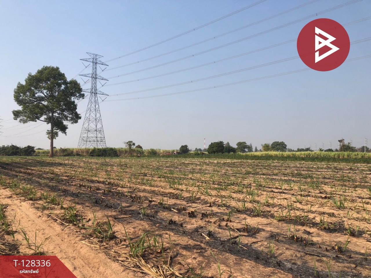 ขายที่ดินถมแล้ว เนื้อที่ 4 ไร่ 3 งาน 25.6 ตารางวา บ้านเขว้า ชัยภูมิ ติดถนน 4 เลน 1