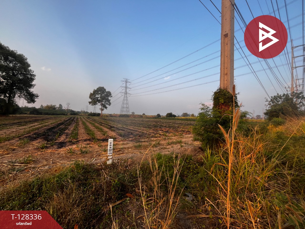 ขายที่ดินถมแล้ว เนื้อที่ 4 ไร่ 3 งาน 25.6 ตารางวา บ้านเขว้า ชัยภูมิ ติดถนน 4 เลน 3