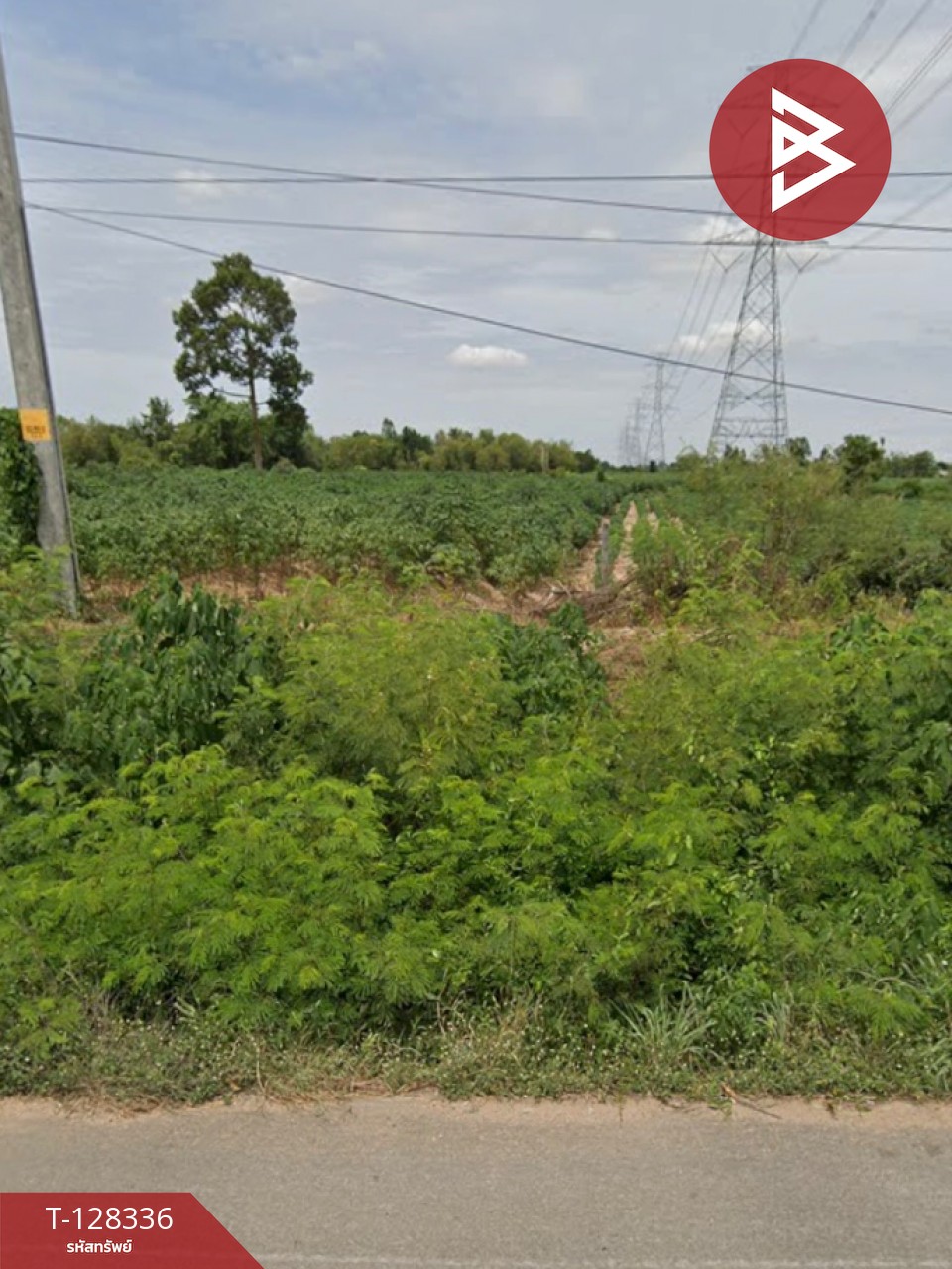 ขายที่ดินถมแล้ว เนื้อที่ 4 ไร่ 3 งาน 25.6 ตารางวา บ้านเขว้า ชัยภูมิ ติดถนน 4 เลน 5