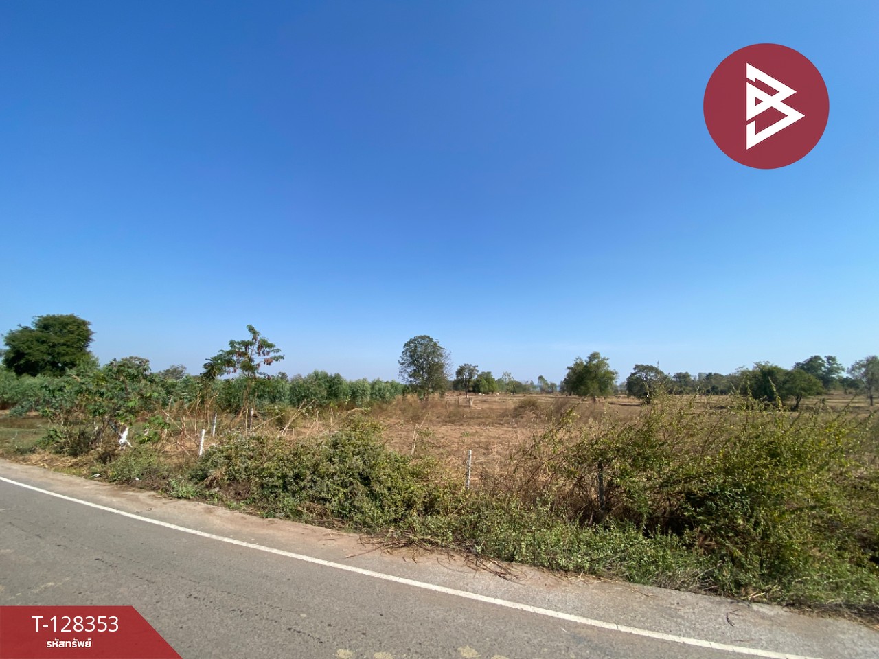 ขายด่วนที่ดิน เนื้อที่ 43 ไร่ 2 งาน 18 ตารางวา อ.โนนสัง หนองบัวลำภู ทำเลดี 19