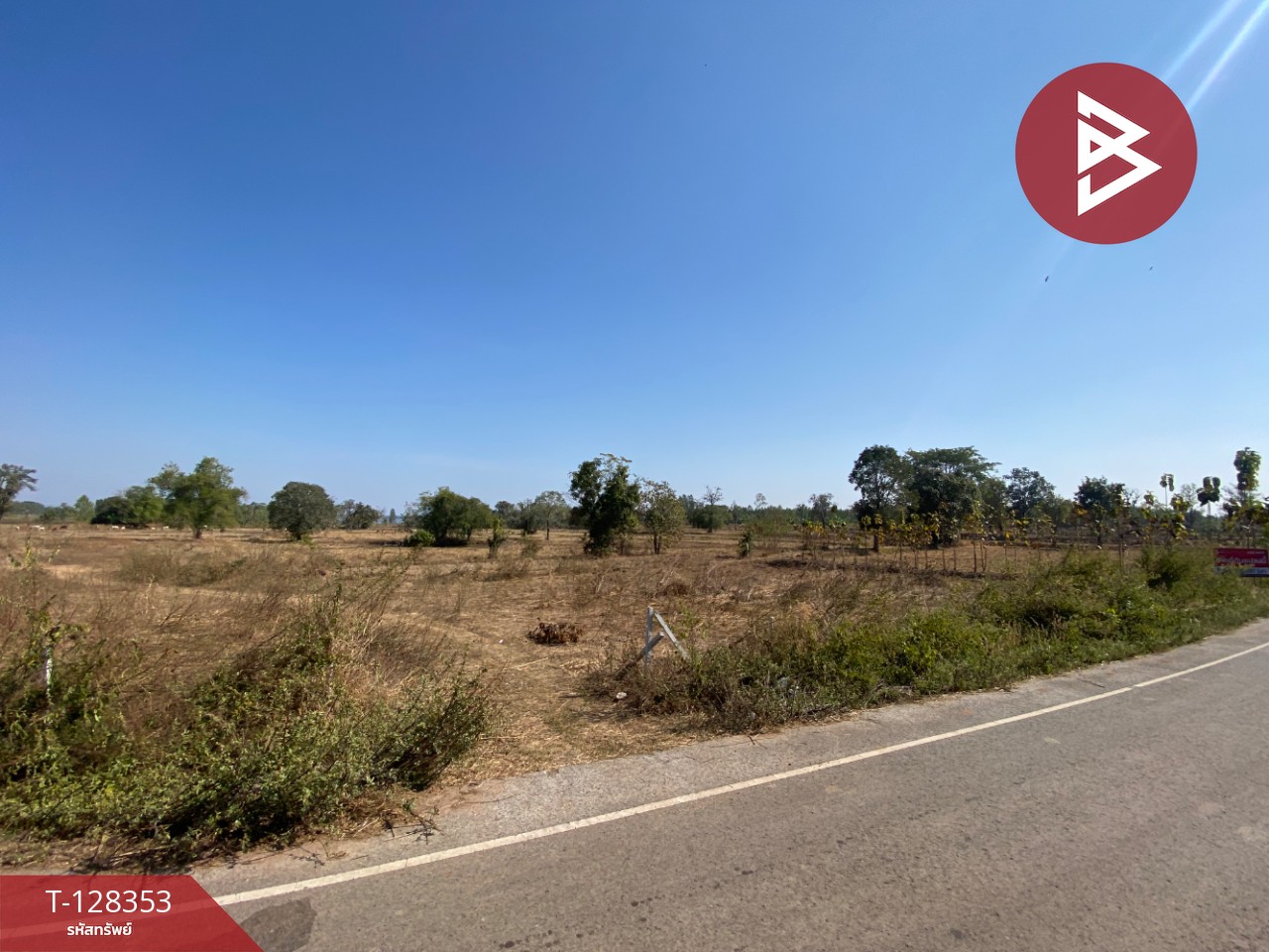 ขายด่วนที่ดิน เนื้อที่ 43 ไร่ 2 งาน 18 ตารางวา อ.โนนสัง หนองบัวลำภู ทำเลดี 12