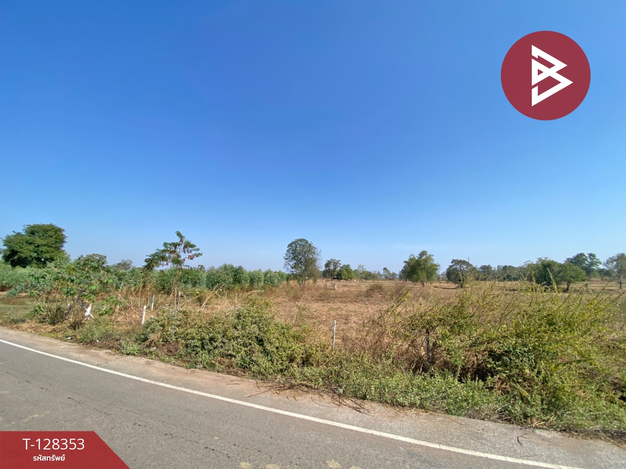 ขายด่วนที่ดิน เนื้อที่ 43 ไร่ 2 งาน 18 ตารางวา อ.โนนสัง หนองบัวลำภู ทำเลดี 8