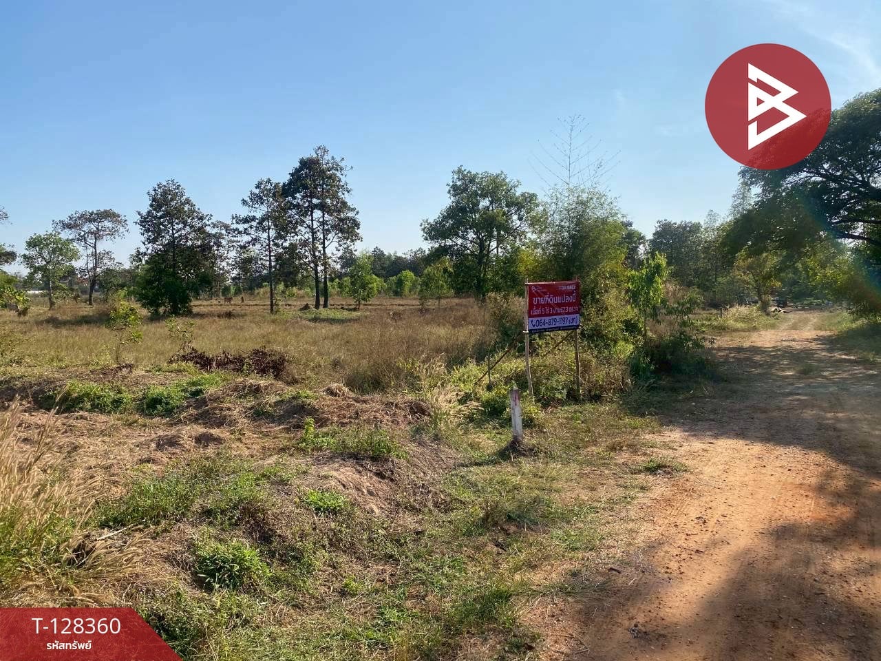 ขายที่ดิน เนื้อที่ 5 ไร่ 3 งาน 62.3 ตารางวา ขอนแก่น ทำเลเมือง ใกล้ถนนมะลิวัลย์-เลี่ยงเมือง 3