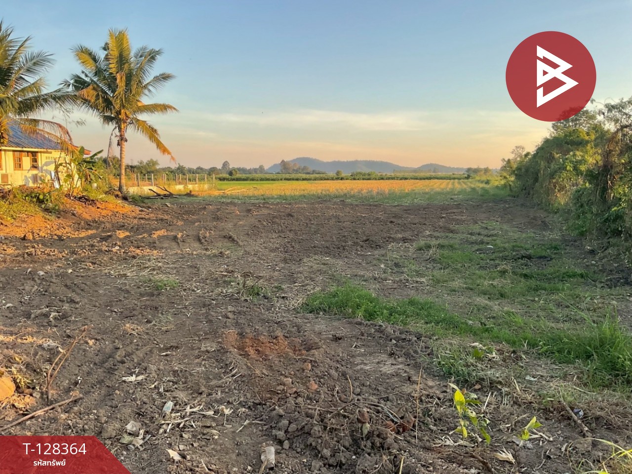 ขายที่ดิน เนื้อที่ 5 ไร่ 2 งาน 30 ตร.วา ขาณุวรลักษบุรี กำแพงเพชร 7