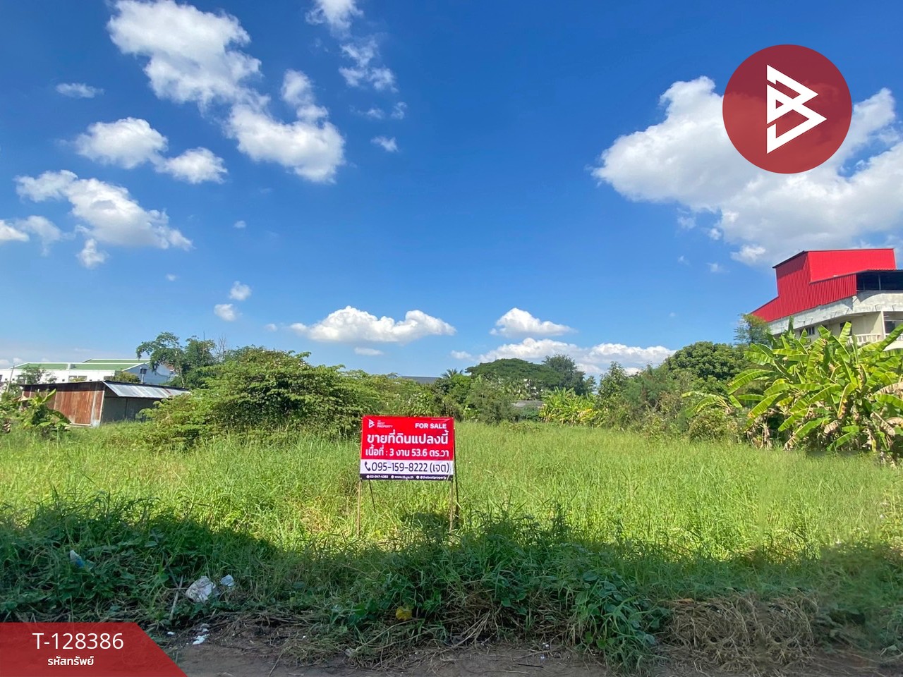 ขายที่ดิน เนื้อที่ 3 งาน 53.6 ตร.วา ท่าโพธิ์ พิษณุโลก 2