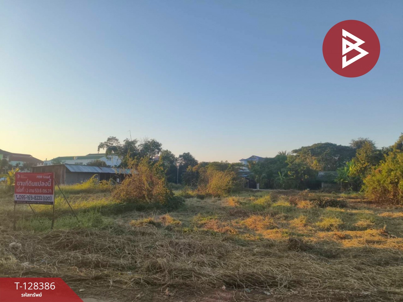 ขายที่ดิน เนื้อที่ 3 งาน 53.6 ตร.วา ท่าโพธิ์ พิษณุโลก 5