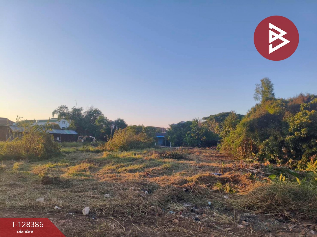 ขายที่ดิน เนื้อที่ 3 งาน 53.6 ตร.วา ท่าโพธิ์ พิษณุโลก 6