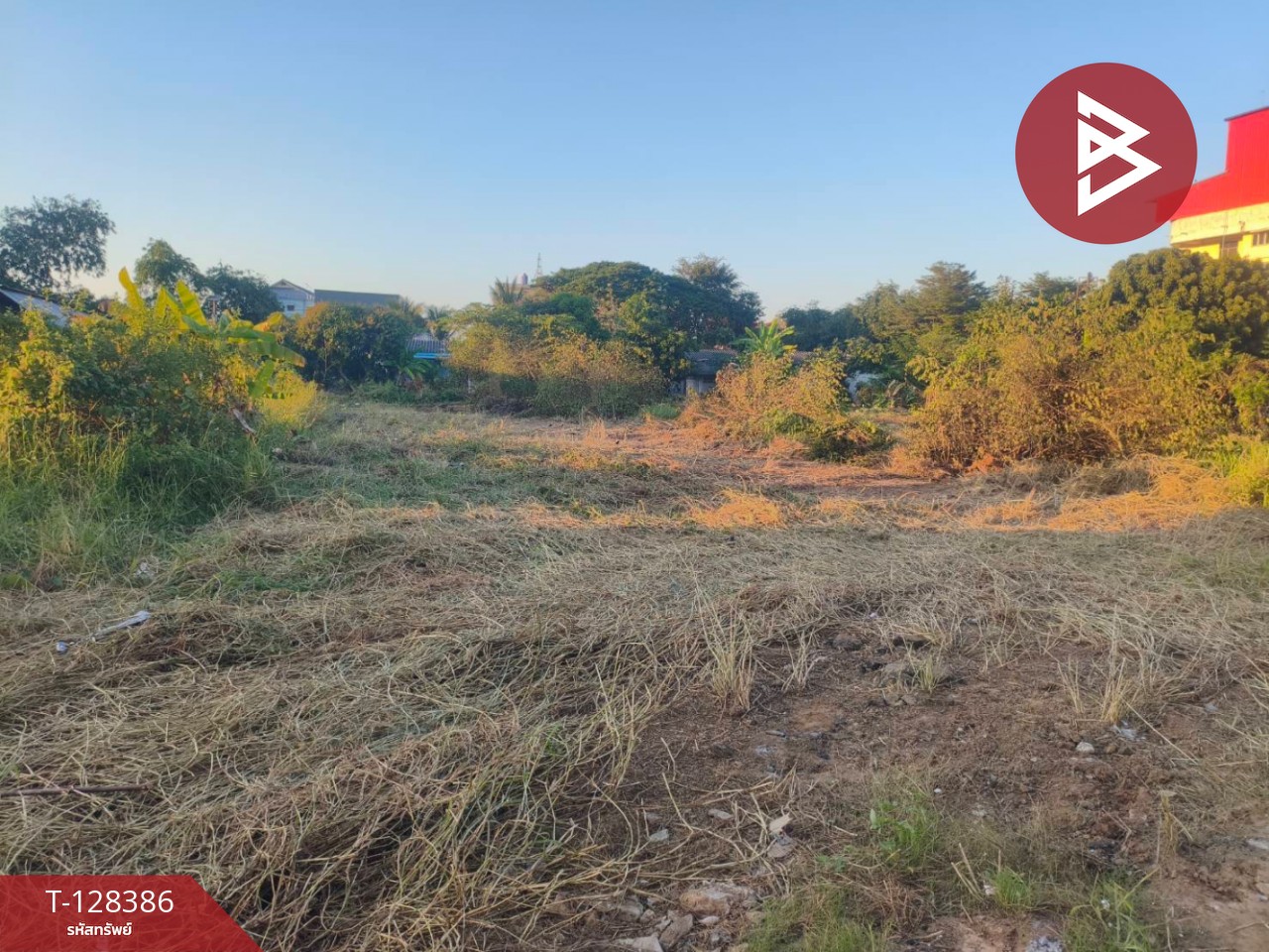 ขายที่ดิน เนื้อที่ 3 งาน 53.6 ตร.วา ท่าโพธิ์ พิษณุโลก 8