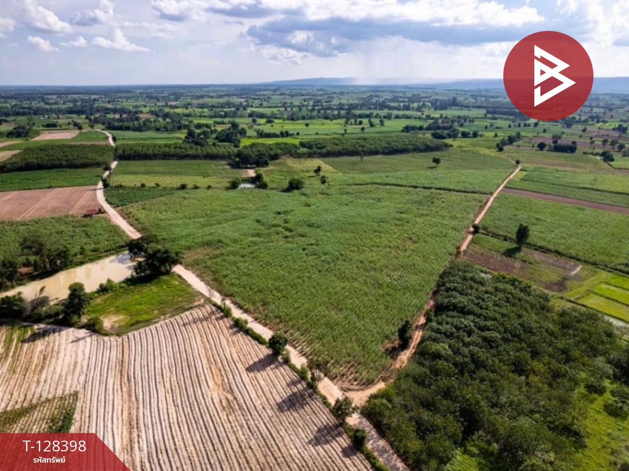 ขายที่ดิน เนื้อที่ 43 ไร่ 2 งาน หนองแสง อุดรธานี 6