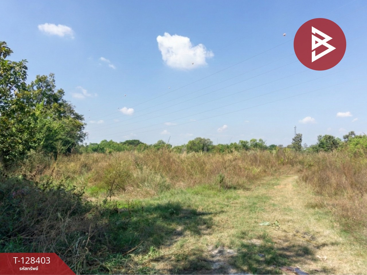 ขายที่ดินแปลงใหญ่ เนื้อที่ 5 ไร่ 72.6 ตารางวา ในเมือง ขอนแก่น 4