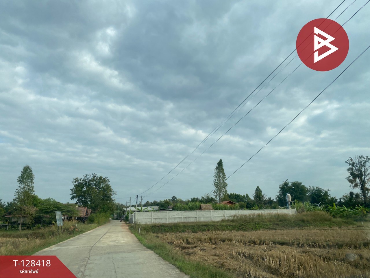 ขายที่ดิน เนื้อที่ 1 งาน 35 ตร.วา หนองเรือ ขอนแก่น 8