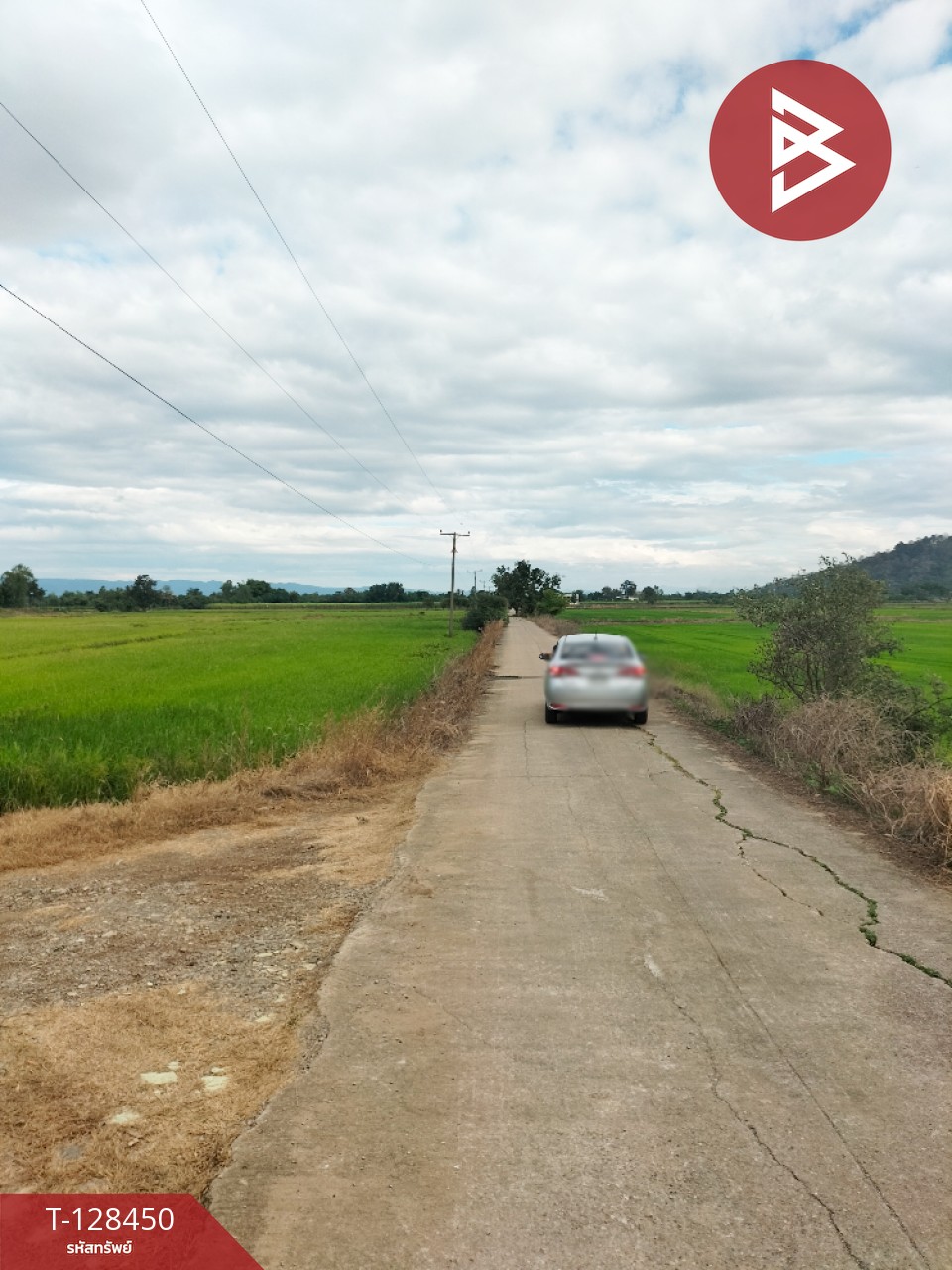 ขายที่ดิน เนื้อที่ 21 ไร่ 2 ตร.วา บึงสามพัน เพชรบูรณ์ 2