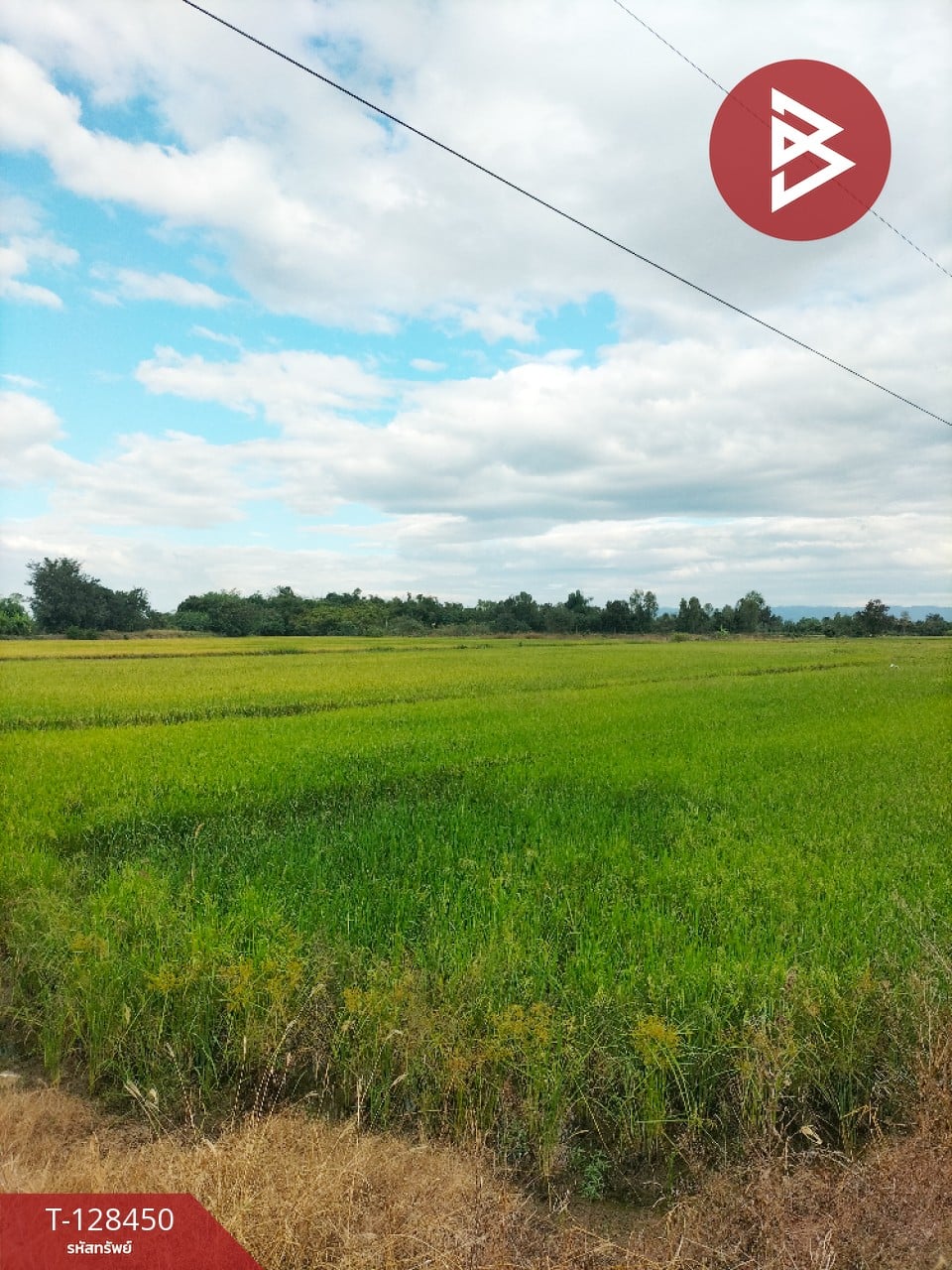 ขายที่ดิน เนื้อที่ 21 ไร่ 2 ตร.วา บึงสามพัน เพชรบูรณ์ 7