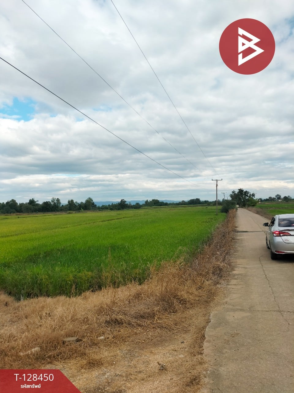 ขายที่ดิน เนื้อที่ 21 ไร่ 2 ตร.วา บึงสามพัน เพชรบูรณ์ 3