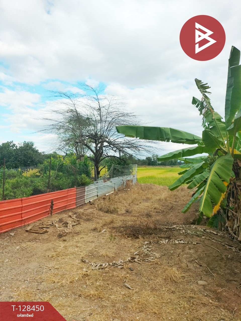 ขายที่ดิน เนื้อที่ 21 ไร่ 2 ตร.วา บึงสามพัน เพชรบูรณ์ 5