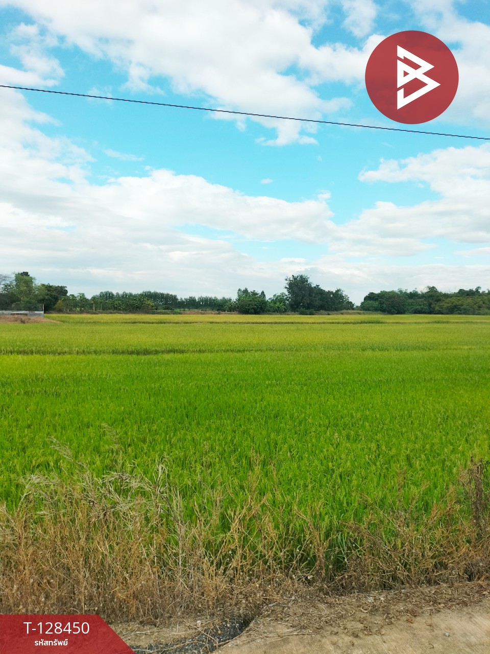 ขายที่ดิน เนื้อที่ 21 ไร่ 2 ตร.วา บึงสามพัน เพชรบูรณ์ 1