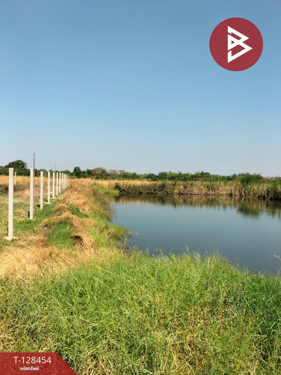 ขายที่ดิน เนื้อที่ 2 ไร่ บางปะกง ฉะเชิงเทรา 4