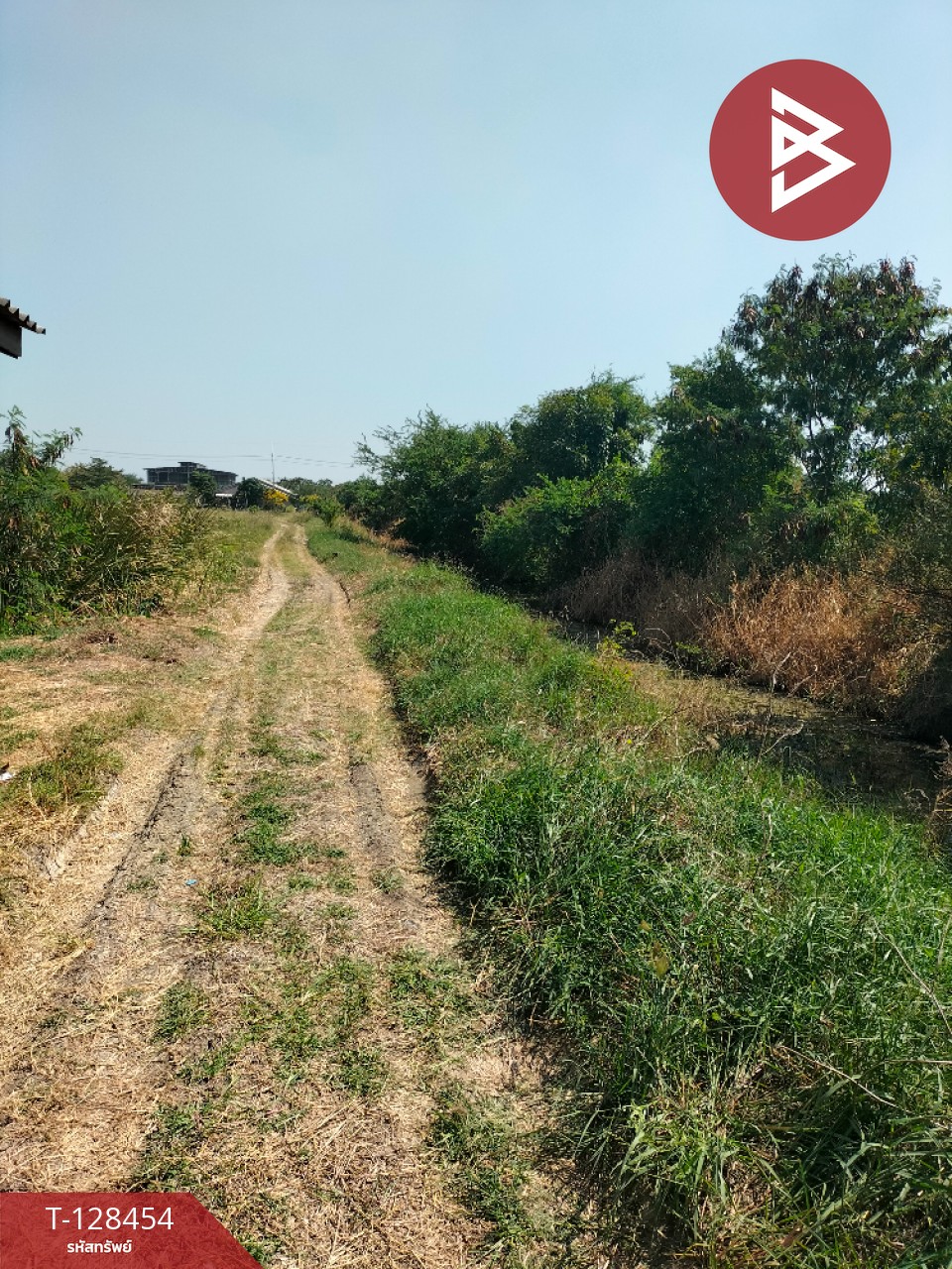 ขายที่ดิน เนื้อที่ 2 ไร่ บางปะกง ฉะเชิงเทรา 8